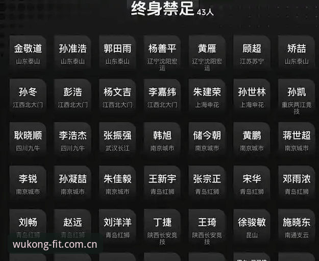 中国足协第三批禁足名单全面解析：17人终身禁赛背后的行业震荡